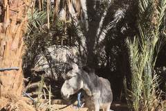 Auf der anderen Seite des Flusses