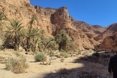 Weiter durch das Flussbett