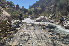 Weiter hat sich der Raupenfahrer wohl nicht getraut