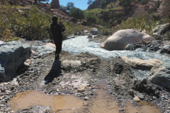 Geht da vielleicht doch was?